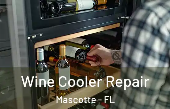  Wine Cooler Repair Mascotte - FL