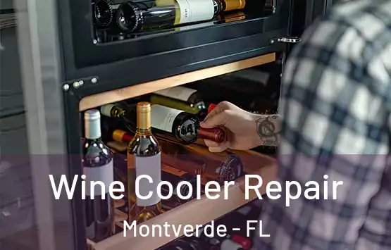  Wine Cooler Repair Montverde - FL