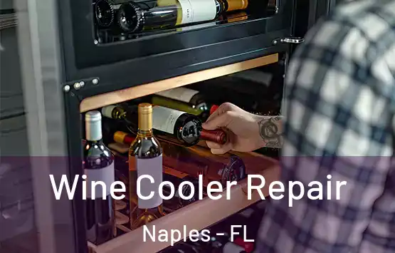  Wine Cooler Repair Naples - FL