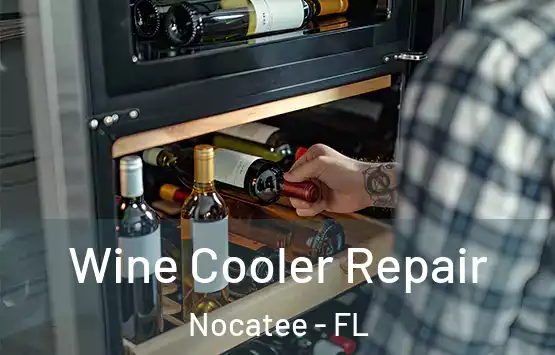  Wine Cooler Repair Nocatee - FL