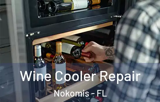  Wine Cooler Repair Nokomis - FL