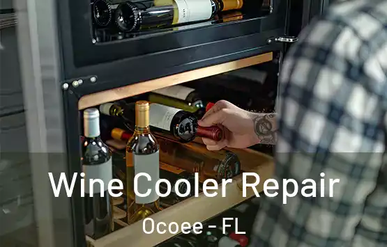  Wine Cooler Repair Ocoee - FL