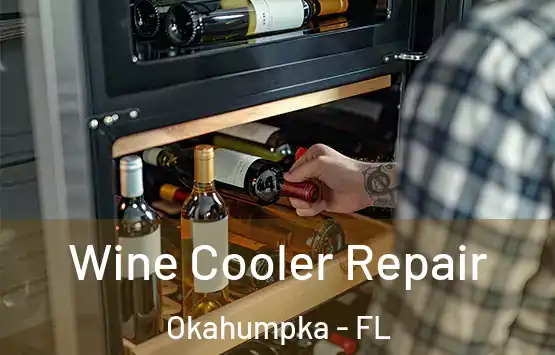  Wine Cooler Repair Okahumpka - FL