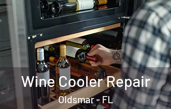  Wine Cooler Repair Oldsmar - FL