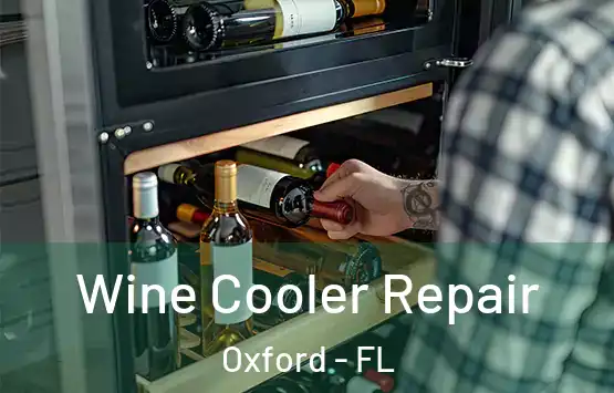  Wine Cooler Repair Oxford - FL