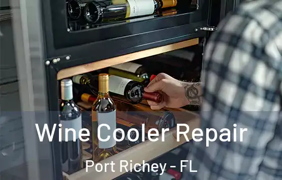  Wine Cooler Repair Port Richey - FL