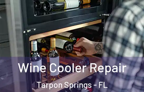  Wine Cooler Repair Tarpon Springs - FL