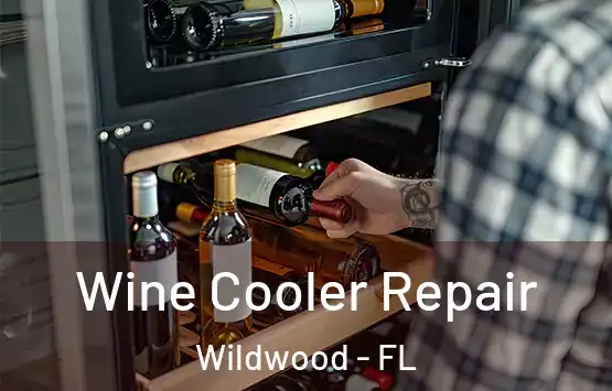  Wine Cooler Repair Wildwood - FL