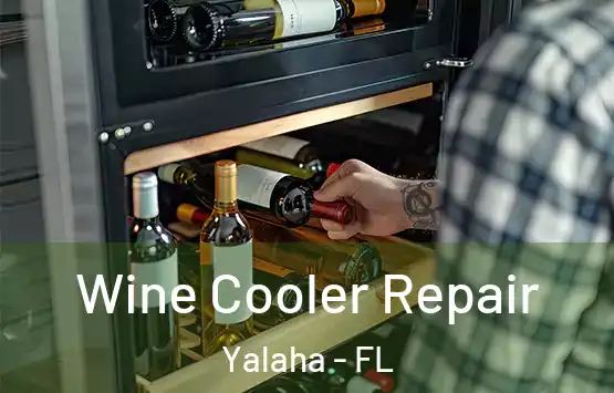  Wine Cooler Repair Yalaha - FL